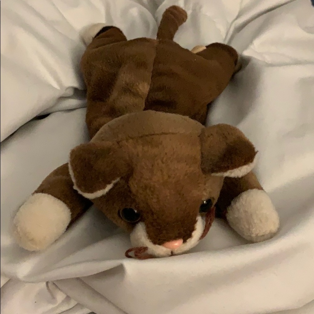 Pounce beanie baby